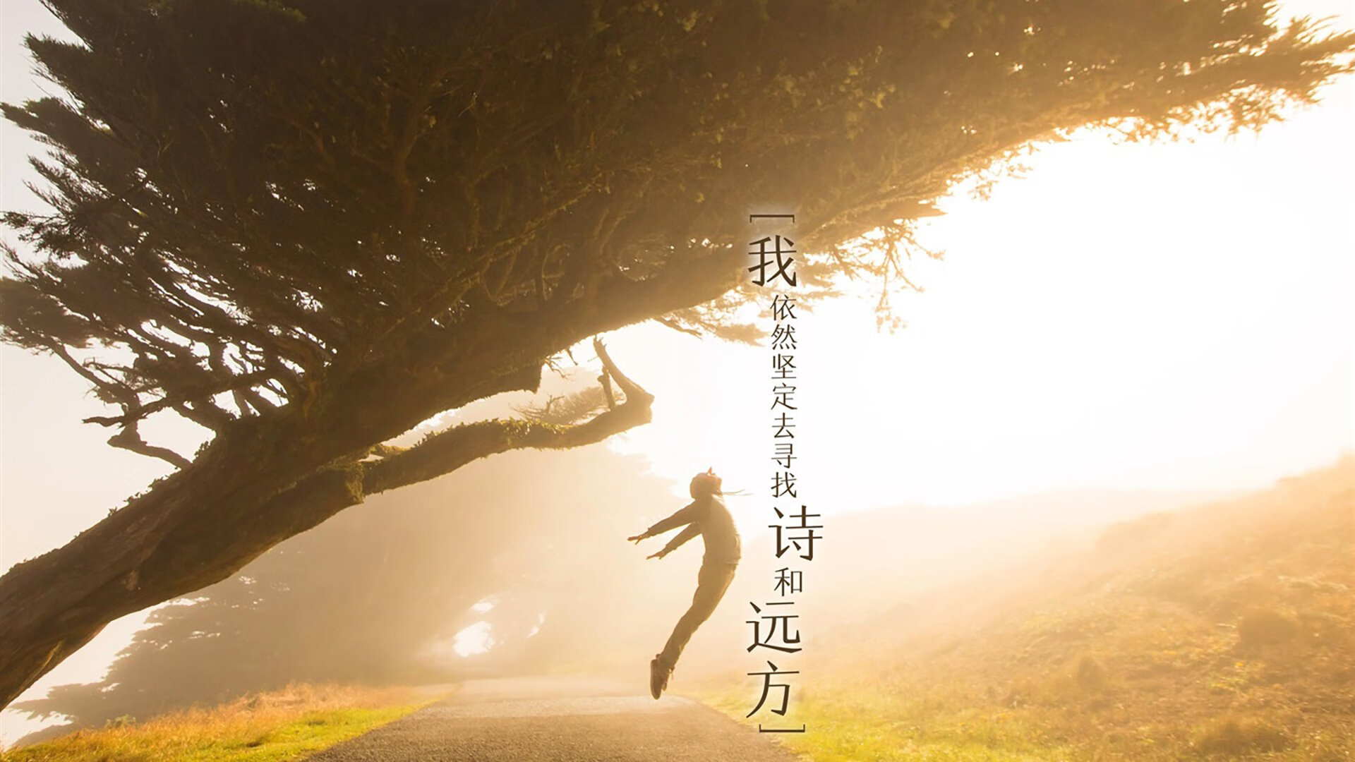 扫走旧神，燃爆新生，蒂姆狂焰与联合杯的时代风暴