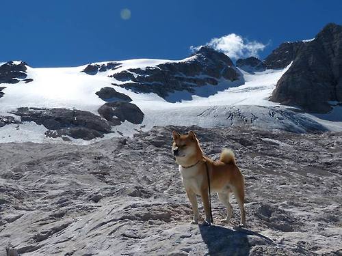 欧洲冠军最后的沉沦，卡拉斯科独扛大旗，难掩比利时黄金一代的黄昏