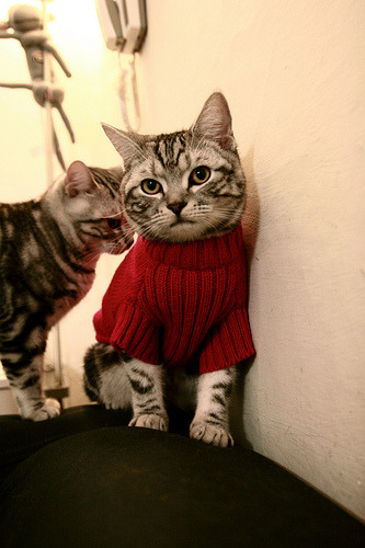 格纳布里一击定乾坤，几内亚的封锁战术如何冰封冰岛？