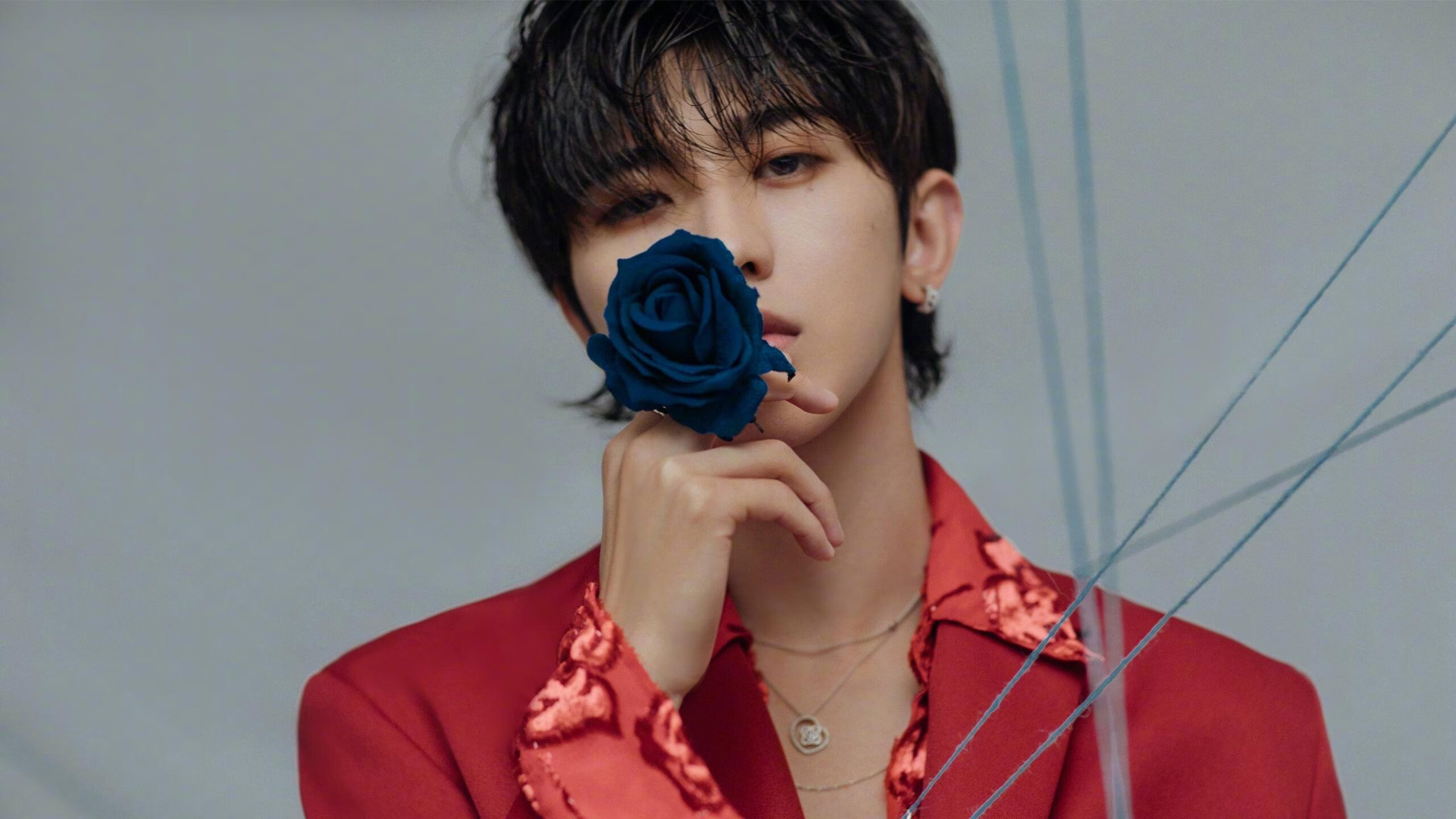 约基奇点石成金，当丹佛魔术横扫布鲁克林，谁是真正的主宰？