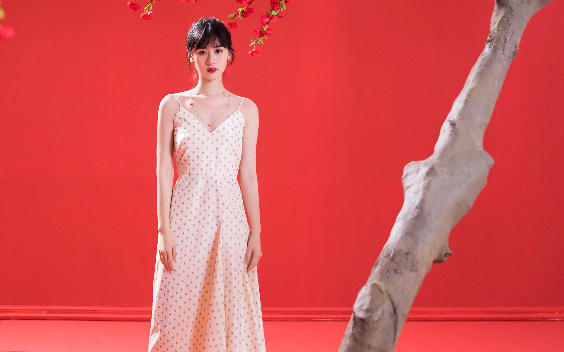 横空出世！三笘薰梦幻舞步撕裂防线，南美桑巴不敌非洲雄鹰