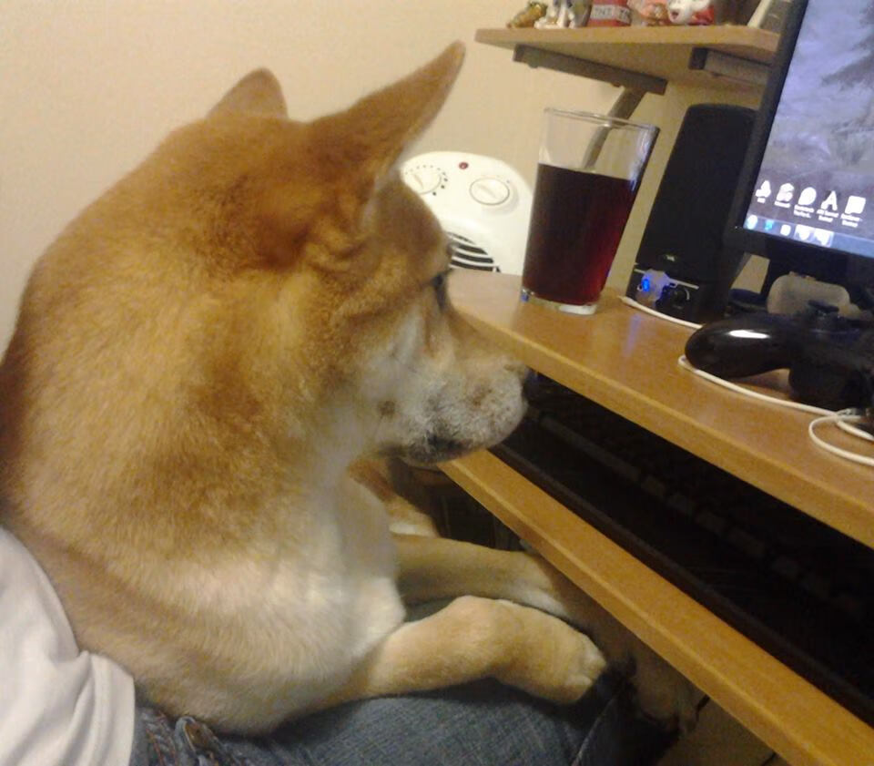 意甲焦点战,巴斯托尼闪耀全场,国际米兰力克尤文图斯