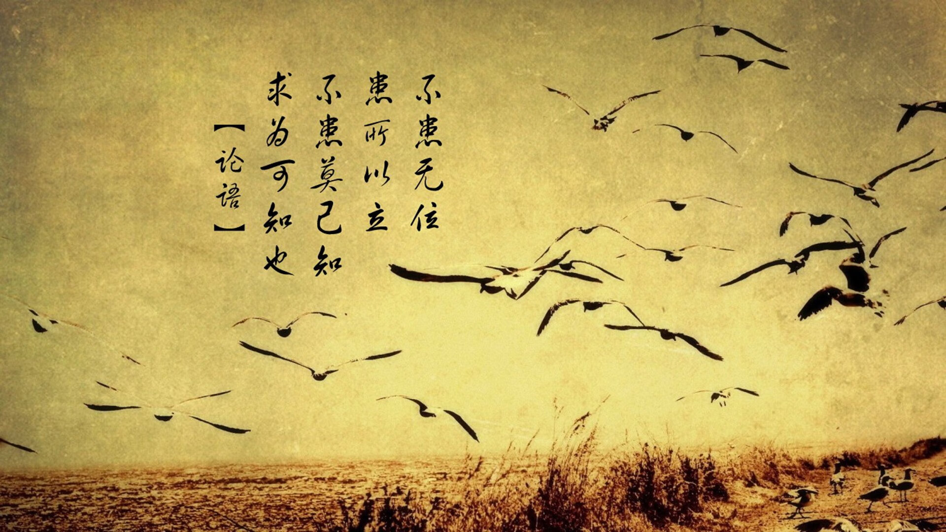 王朝崩塌之夜，骑士的窒息之网如何绞杀勇士，文班亚马加冕新王？