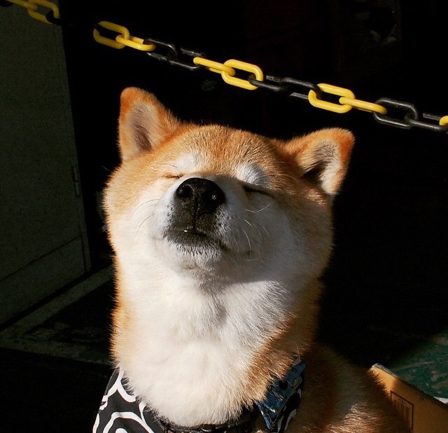 熔岩般火力,太阳灼穿马刺,季后赛暴力投射时代降临?