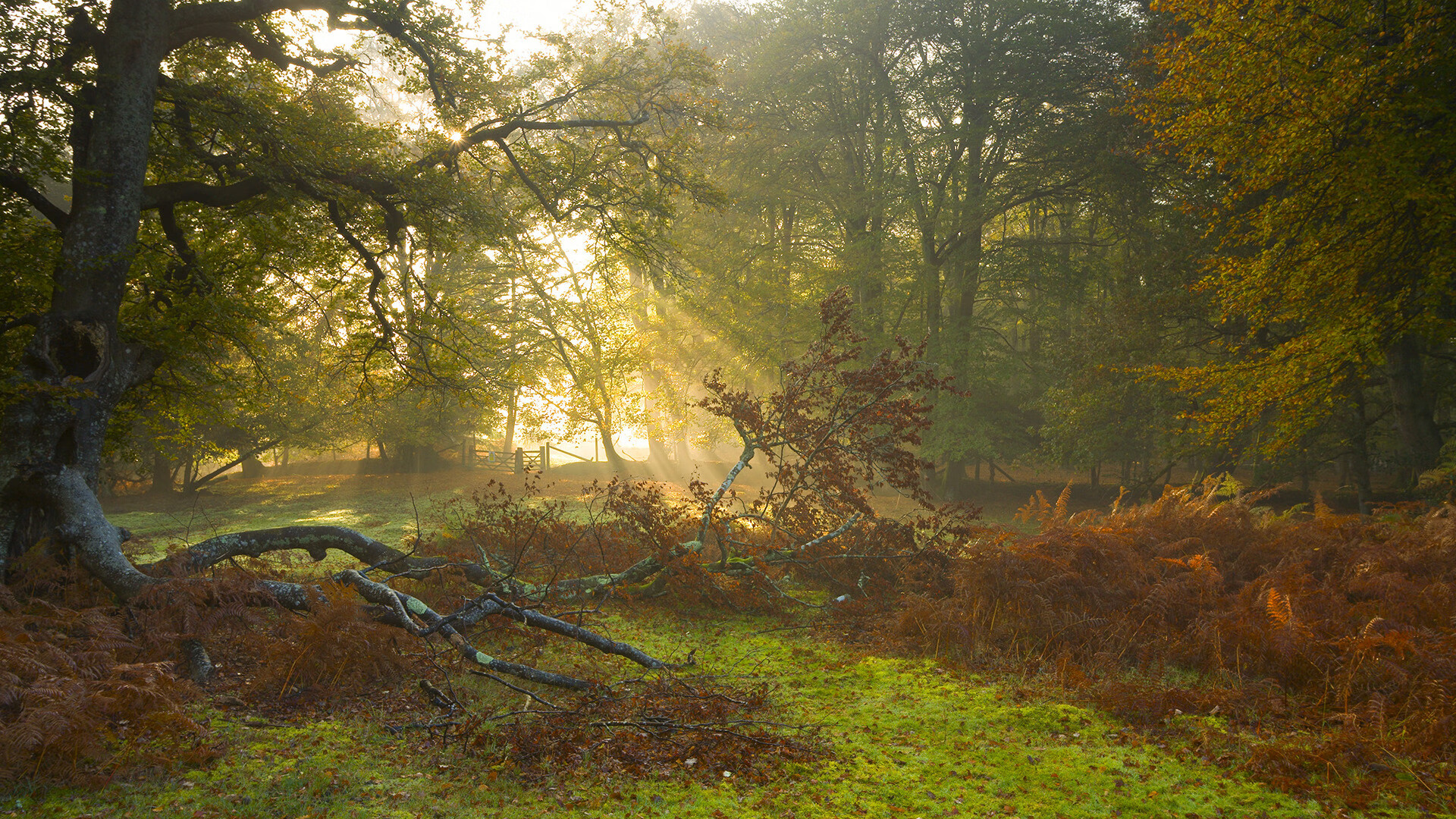 神话军团与暗影挑战，希腊用三球证明，厄德高用实力见证