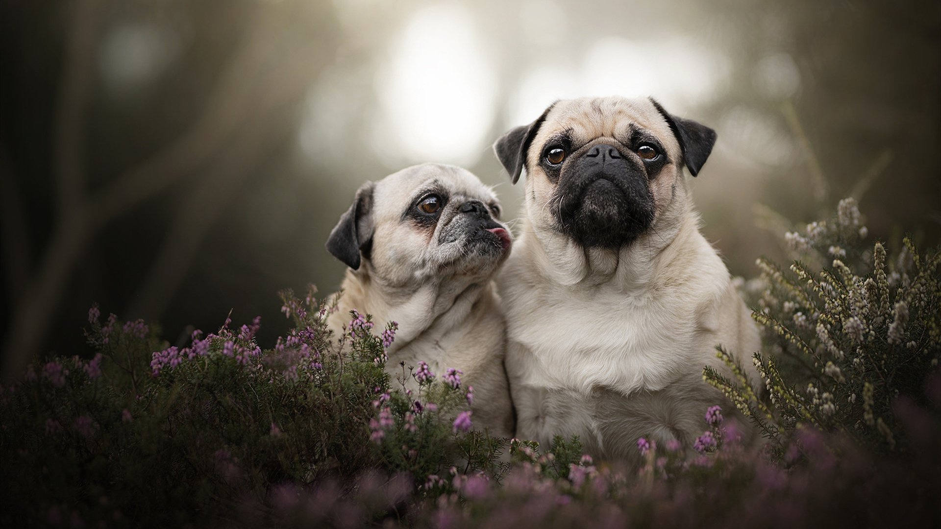 奥运周期关键焦点战，墨西哥掀翻卡塔尔，改写奥运足球出线格局