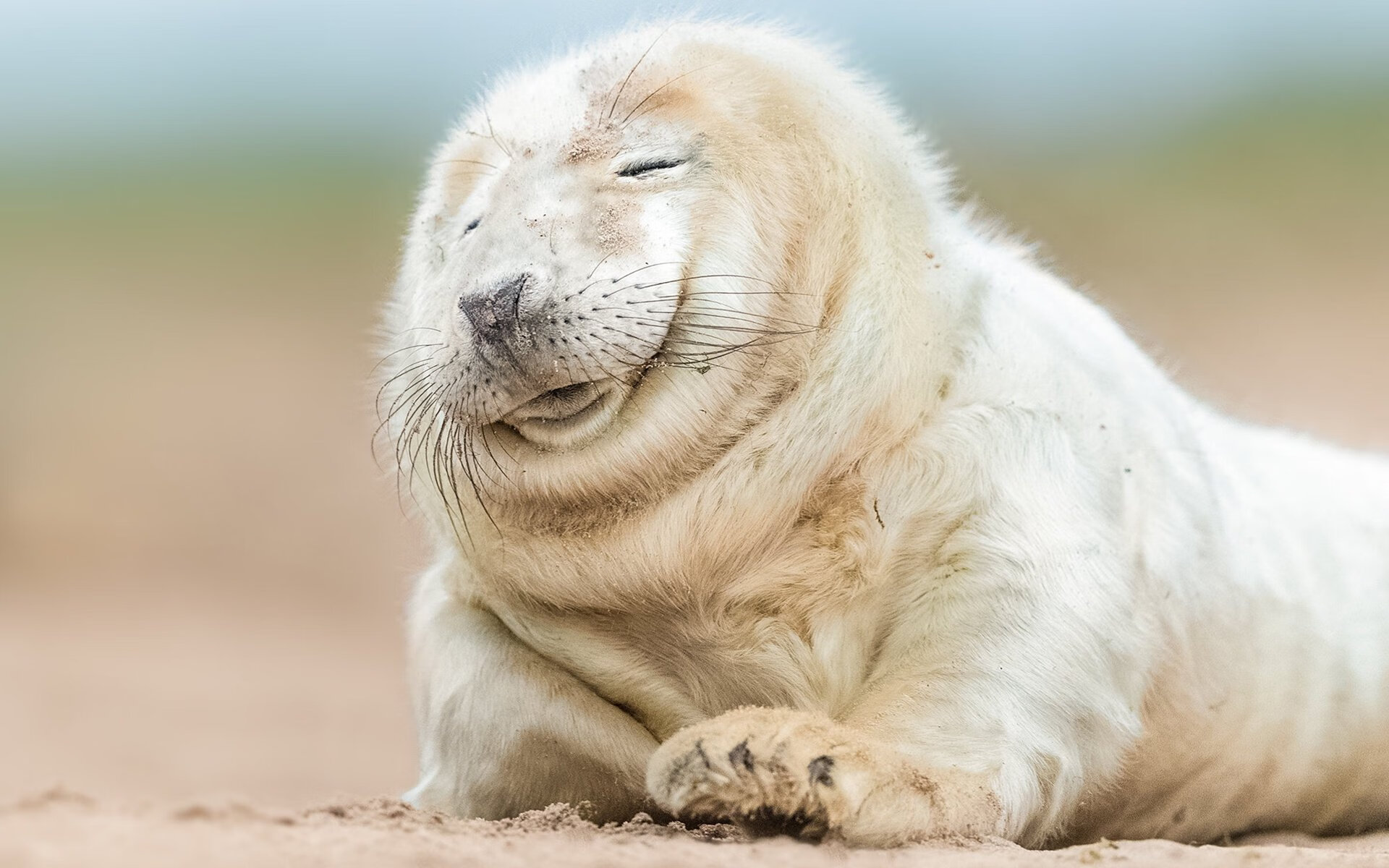 平行时空的终极假设,当马刺与勇士的传奇,在欧冠决赛的绿茵场重燃