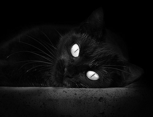 当大陆与俱乐部相遇,门迪执教的加纳全明星,如何给多特蒙德上了一堂团结课