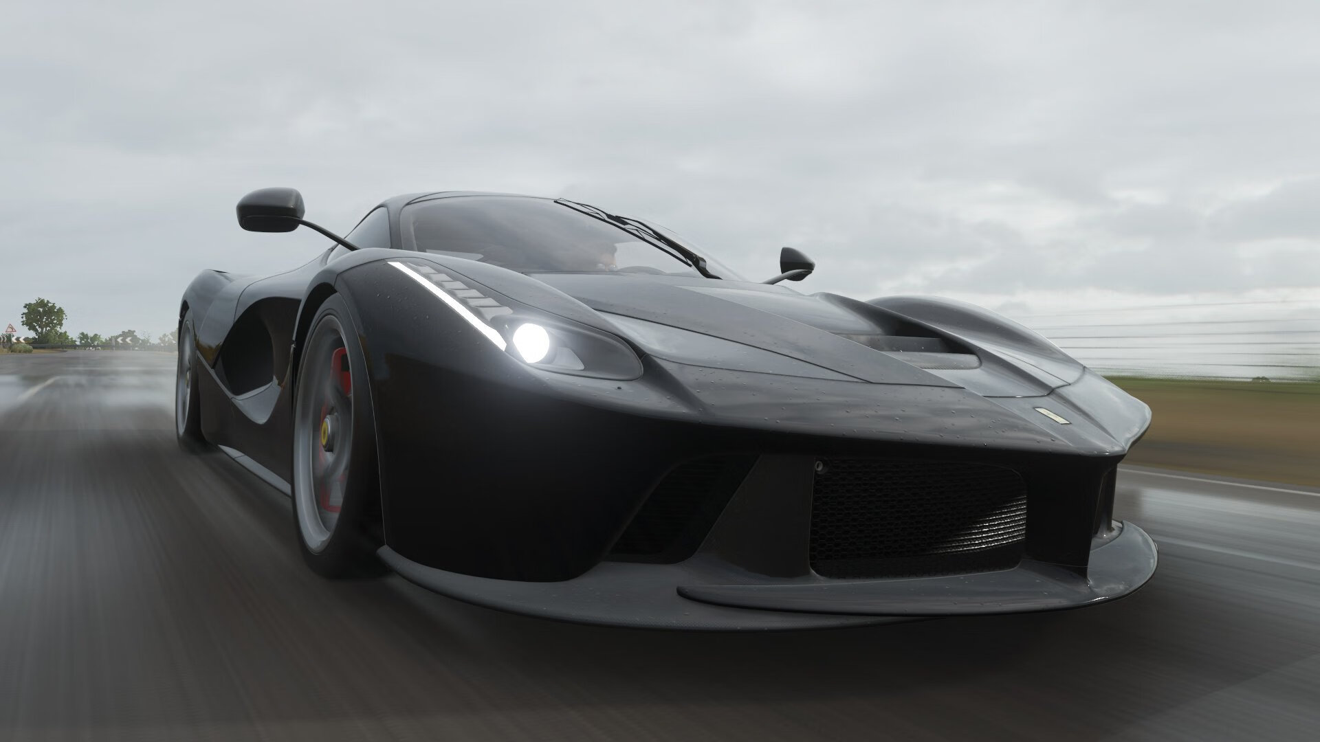 当郁金香绽放时，有人正独自托起黎明