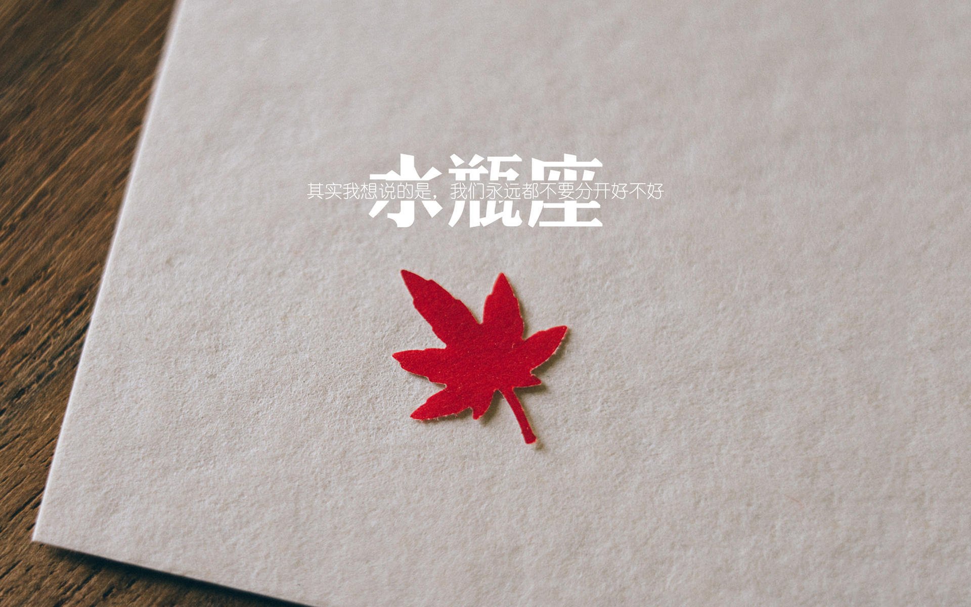 跨越维度的统治力，当深圳队冰封太阳，切特在F1赛道点燃新纪元