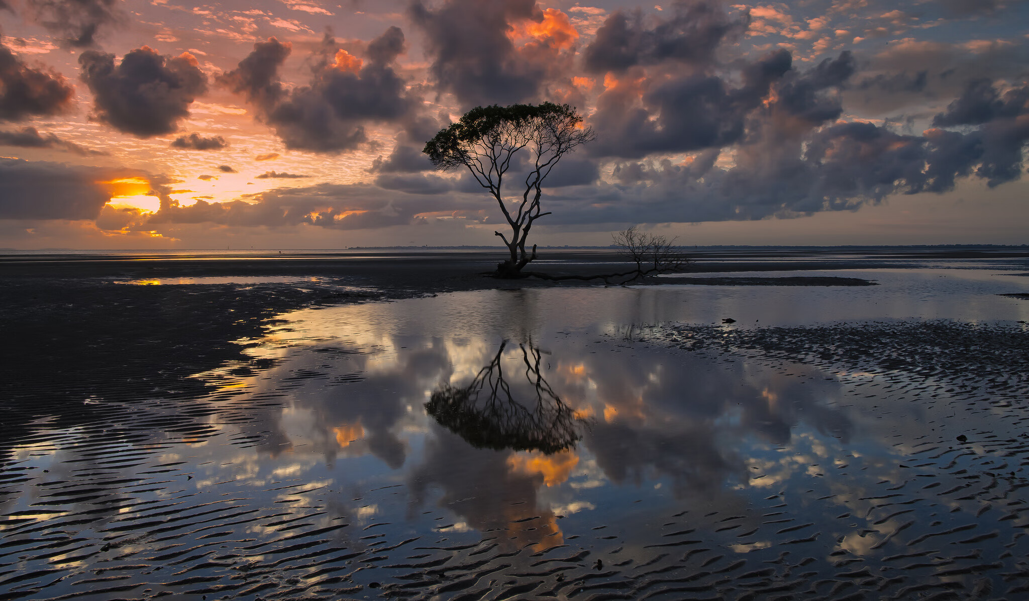 孤星闪耀美加墨，阿诺德麾下秘鲁焚香，印度折戟焦点之战