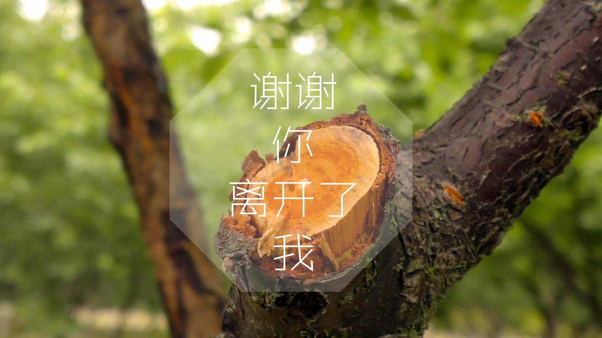 思维扩展,文章标题构思
