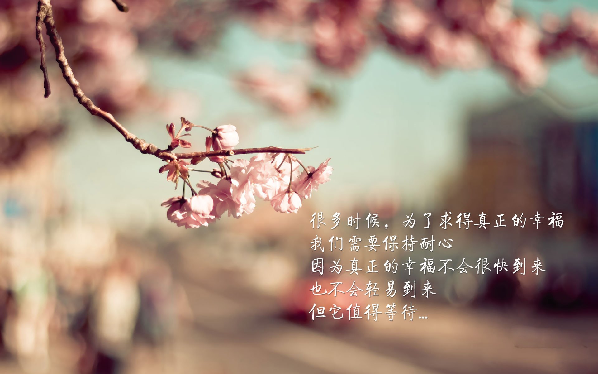 星条旗与蓝武士的激荡之夜，2026世界杯G组美国力克印度，佩德里闪耀全场